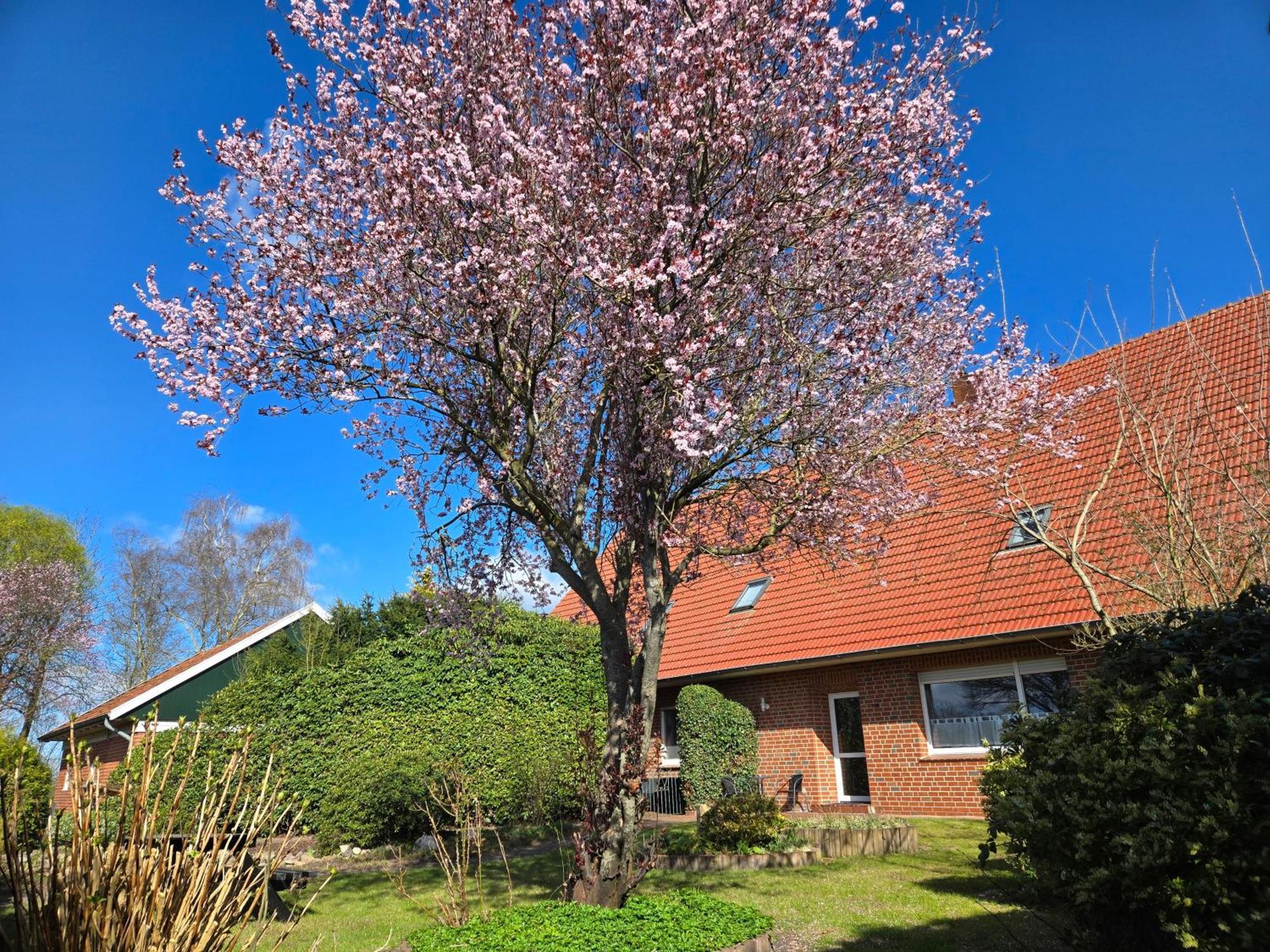Ferienbauernhof De Slaaphoeve Emlichheim Exterior foto